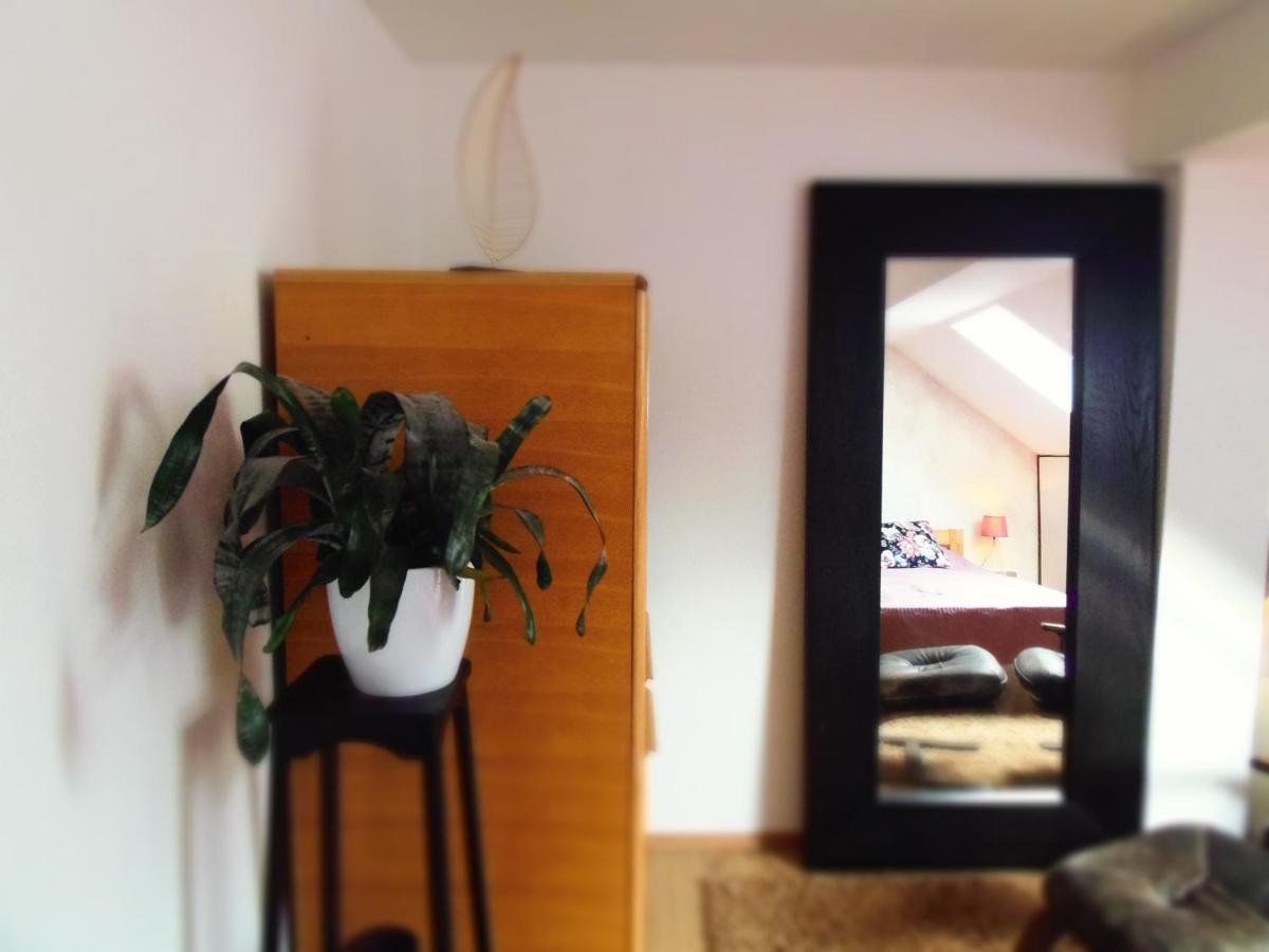 Apartman Katarina ซาเกร็บ ภายนอก รูปภาพ