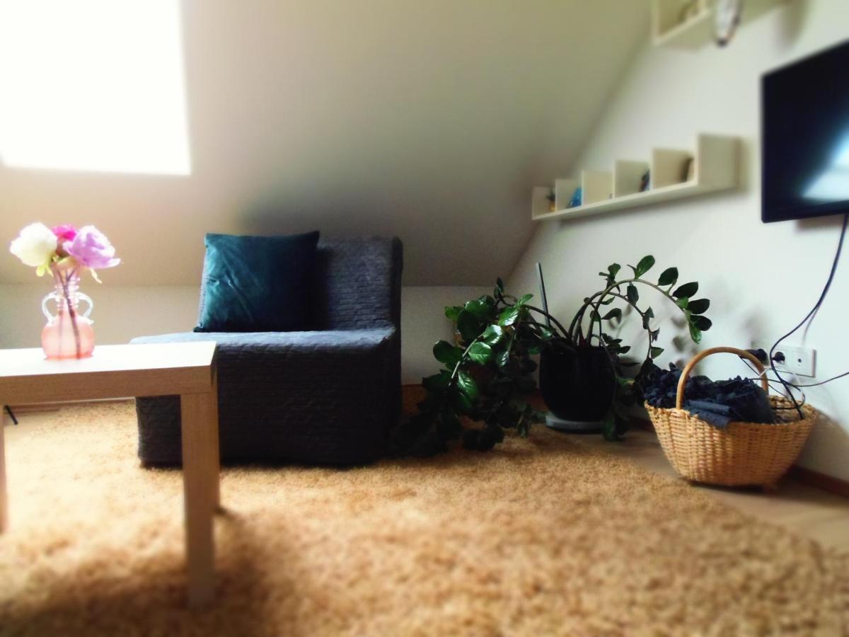 Apartman Katarina ซาเกร็บ ภายนอก รูปภาพ